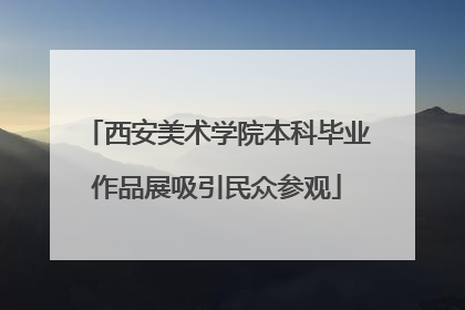 西安美术学院本科毕业作品展吸引民众参观