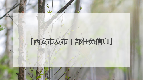 西安市发布干部任免信息
