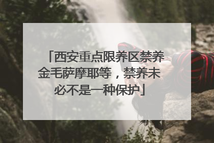 西安重点限养区禁养金毛萨摩耶等，禁养未必不是一种保护