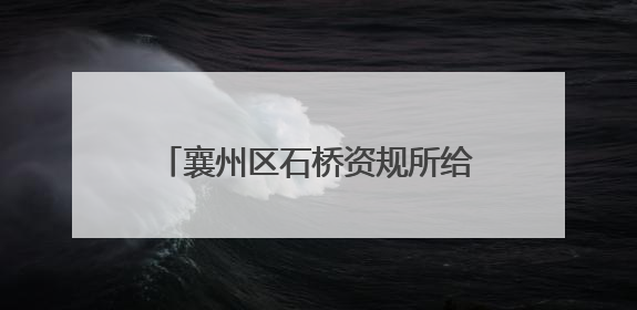 襄州区石桥资规所给政府及群众“送礼”