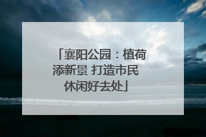 襄阳公园：植荷添新景 打造市民休闲好去处