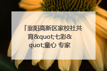 襄阳高新区家校社共育"七彩"童心 专家团支招智慧育儿