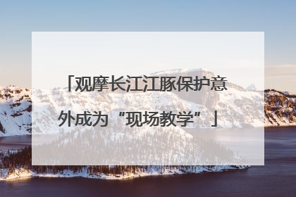 观摩长江江豚保护意外成为“现场教学”