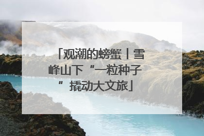 观潮的螃蟹丨雪峰山下“一粒种子”撬动大文旅
