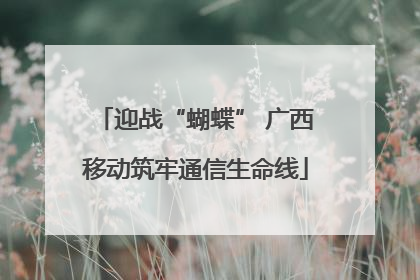 迎战“蝴蝶” 广西移动筑牢通信生命线