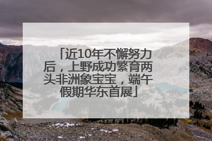 近10年不懈努力后，上野成功繁育两头非洲象宝宝，端午假期华东首展