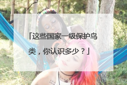 这些国家一级保护鸟类，你认识多少？