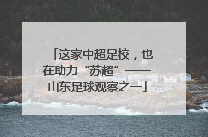 这家中超足校，也在助力“苏超”——山东足球观察之一