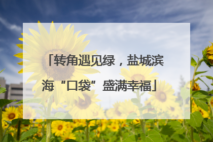 转角遇见绿，盐城滨海“口袋”盛满幸福
