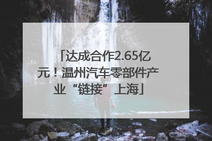达成合作2.65亿元！温州汽车零部件产业“链接”上海