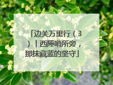 边关万里行（3）丨西陲哨所旁，那抹藏蓝的坚守