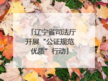 辽宁省司法厅开展“公证规范优质”行动