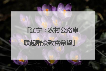 辽宁：农村公路串联起群众致富希望