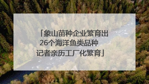 象山苗种企业繁育出26个海洋鱼类品种 记者亲历工厂化繁育