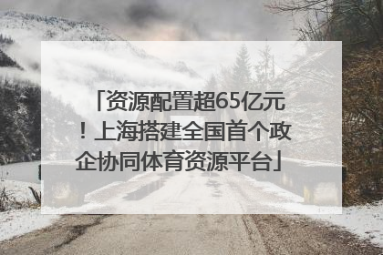 资源配置超65亿元！上海搭建全国首个政企协同体育资源平台