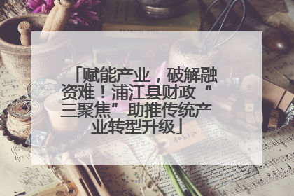 赋能产业，破解融资难！浦江县财政“三聚焦”助推传统产业转型升级