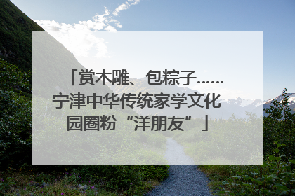 赏木雕、包粽子……宁津中华传统家学文化园圈粉“洋朋友”