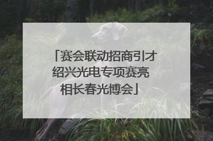 赛会联动招商引才 绍兴光电专项赛亮相长春光博会