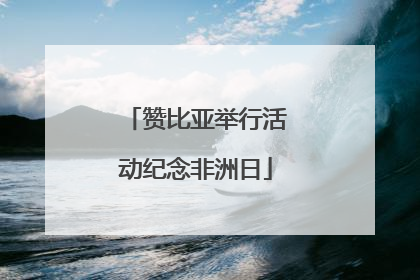 赞比亚举行活动纪念非洲日