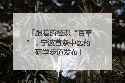 跟着药径识“百草”，宁波首条中医药研学步道发布
