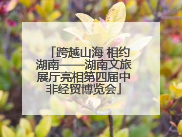 跨越山海 相约湖南——湖南文旅展厅亮相第四届中非经贸博览会