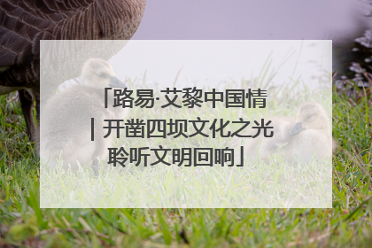 路易·艾黎中国情｜开凿四坝文化之光 聆听文明回响