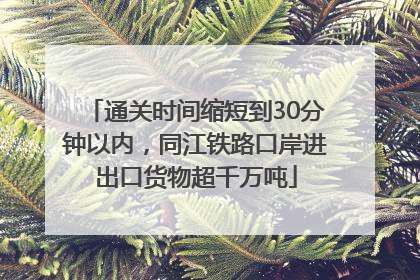 通关时间缩短到30分钟以内，同江铁路口岸进出口货物超千万吨