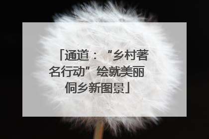 通道：“乡村著名行动”绘就美丽侗乡新图景