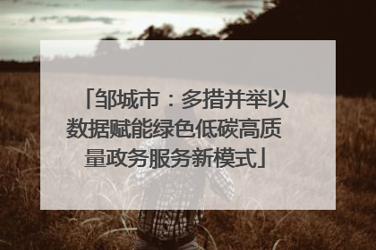 邹城市：多措并举以数据赋能绿色低碳高质量政务服务新模式