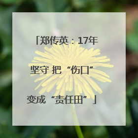 郑传英：17年坚守 把“伤口”变成“责任田”