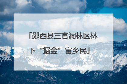 郧西县三官洞林区林下“掘金”富乡民