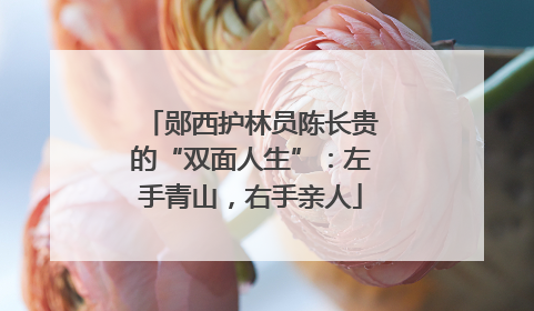 郧西护林员陈长贵的“双面人生”：左手青山，右手亲人