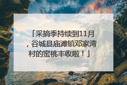 采摘季持续到11月，谷城县庙滩镇邓家湾村的蜜桃丰收啦！
