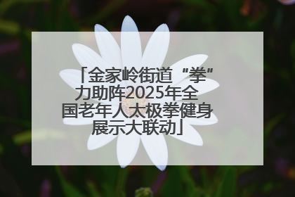 金家岭街道“拳”力助阵2025年全国老年人太极拳健身展示大联动