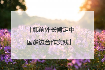 韩前外长肯定中国多边合作实践