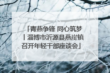 青燕争锋 同心筑梦丨淄博市沂源县燕崖镇召开年轻干部座谈会