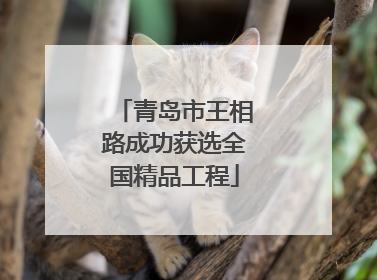 青岛市王相路成功获选全国精品工程