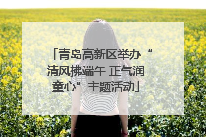 青岛高新区举办“清风拂端午 正气润童心”主题活动