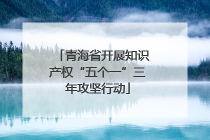 青海省开展知识产权“五个一”三年攻坚行动