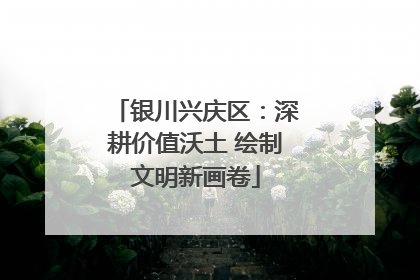 银川兴庆区：深耕价值沃土 绘制文明新画卷