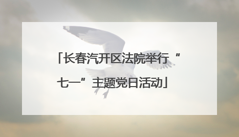长春汽开区法院举行“七一”主题党日活动