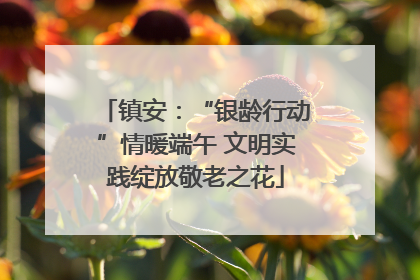 镇安：“银龄行动”情暖端午 文明实践绽放敬老之花