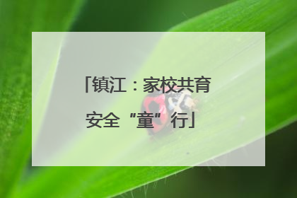 镇江：家校共育 安全“童”行