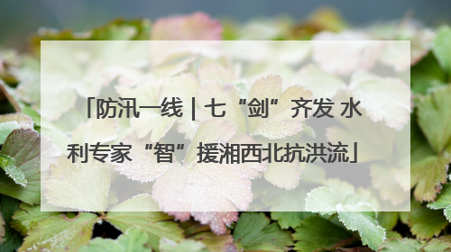 防汛一线｜七“剑”齐发 水利专家“智”援湘西北抗洪流