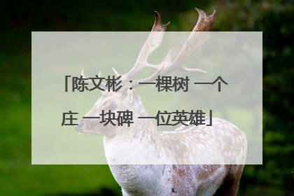 陈文彬：一棵树 一个庄 一块碑 一位英雄