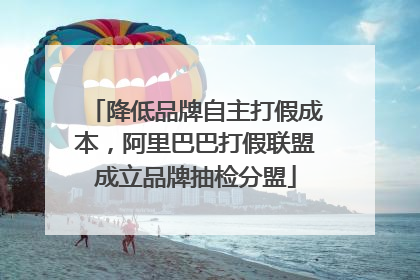 降低品牌自主打假成本，阿里巴巴打假联盟成立品牌抽检分盟