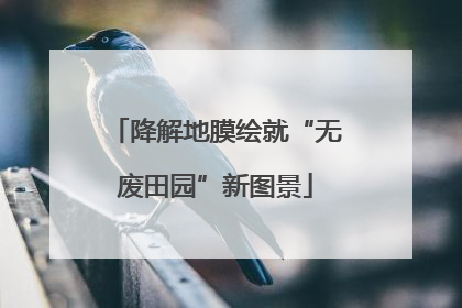 降解地膜绘就“无废田园”新图景