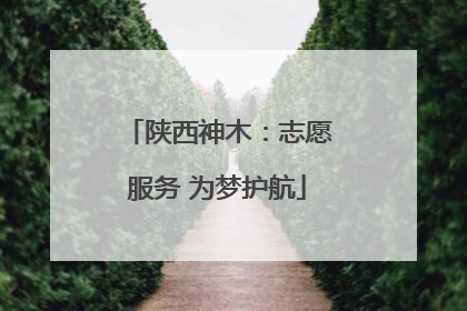 陕西神木：志愿服务 为梦护航
