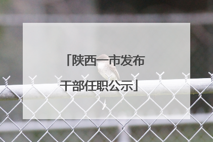 陕西一市发布干部任职公示