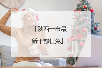 陕西一市最新干部任免
